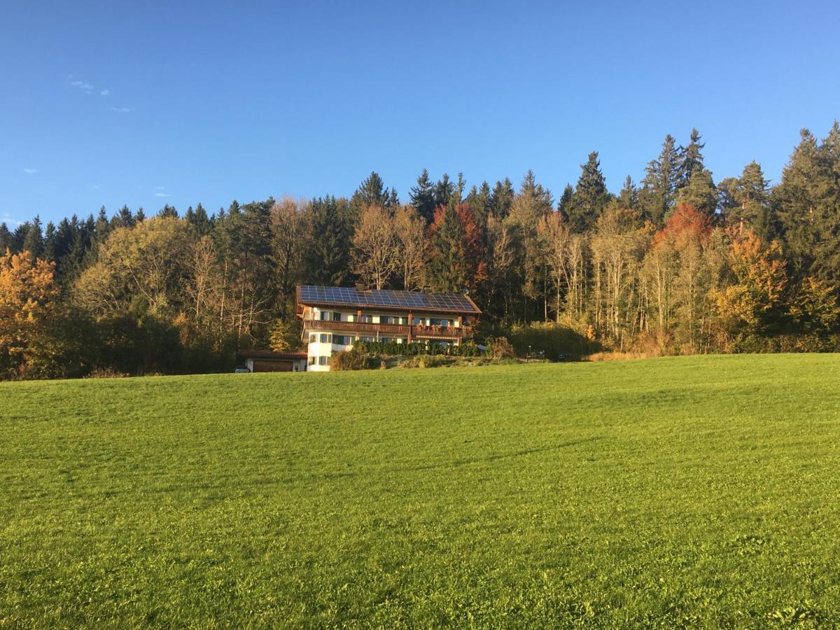 Ferienwohnung Ferienhaus Am Wald Friesenried Exterior foto