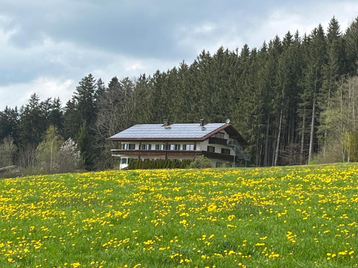 Ferienwohnung Ferienhaus Am Wald Friesenried Exterior foto