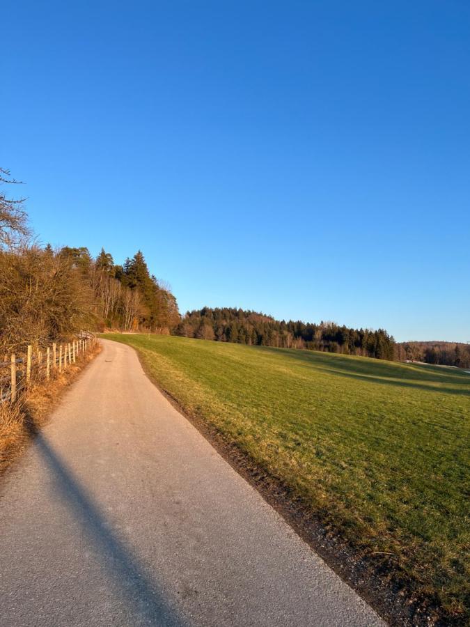 Ferienwohnung Ferienhaus Am Wald Friesenried Exterior foto